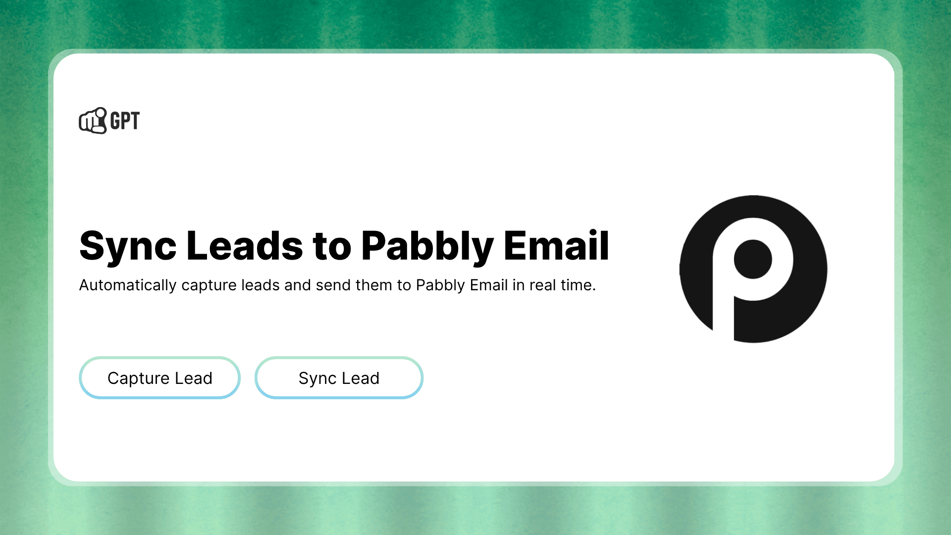 Seamless Lead Capture & Sync to your Pabbly Email